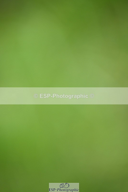 250831A-105503-09775 - Cls 35 Snr 1.20m Grand Prix