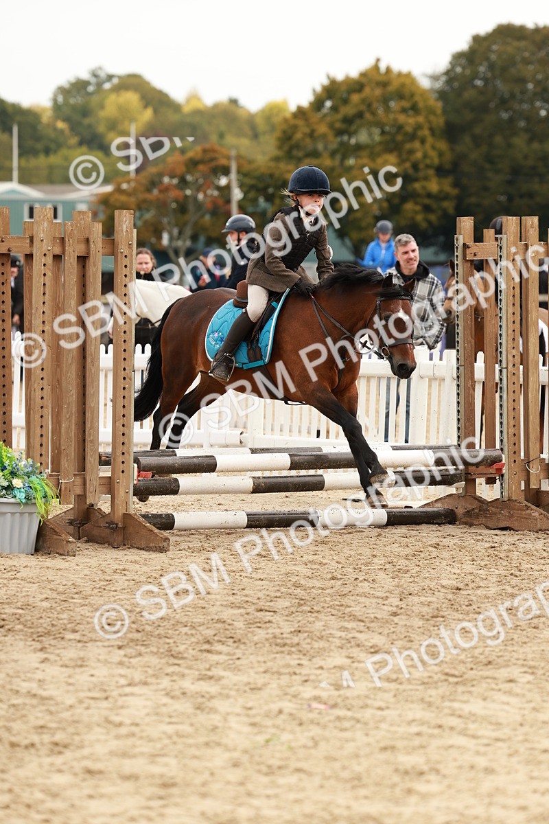 SBM_57732 - J11 - Junior Pony 50cm Championship