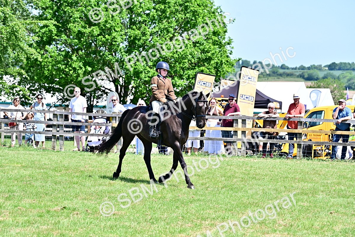 SBM_15389 - Class 95-97 - BSPS LHS Performance Ponies