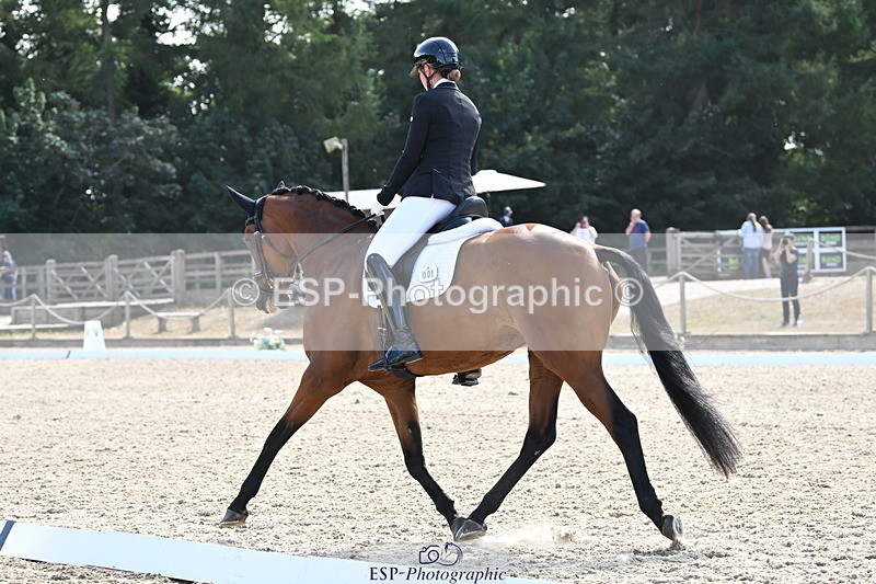 250808A-155700-01961 - 001-Ellen.GloverAmazing.Lady.Texel.MFS