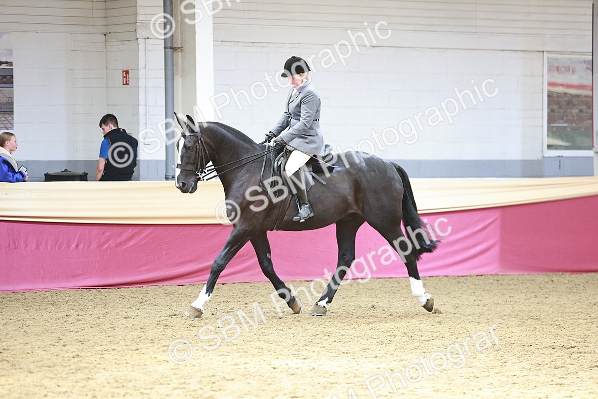 SBM_08311 - Class 11R - Regional Ridden Veteran