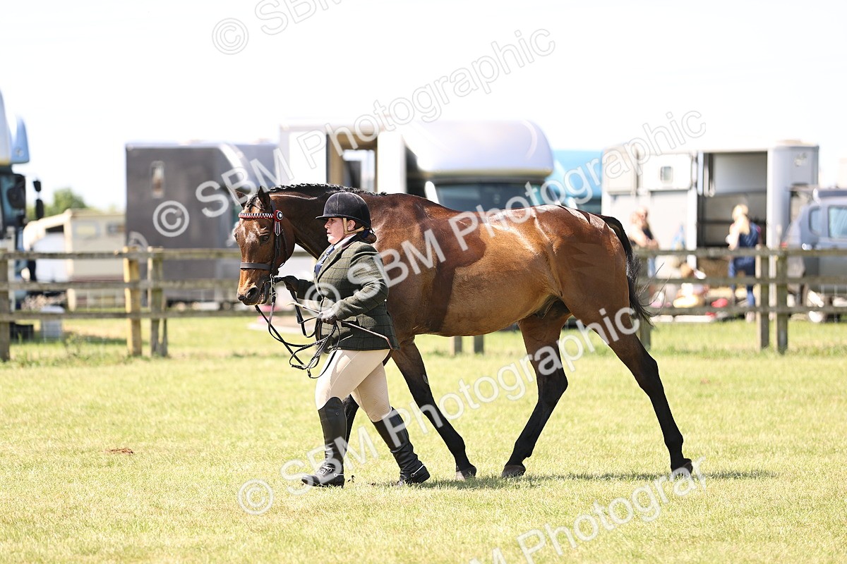 SBM_14966 - Class 78 - LIHS BSHA Open Racehorse & Show Horse