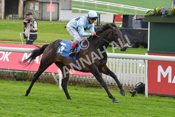 yr14052021r2-13 - Race 2 2.10pm Oak Farm Stables Fillies' Stakes (registered as the Michael Seely Memorial Stakes)