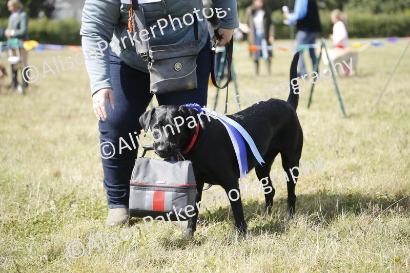 20250831-3734 - Dog Show