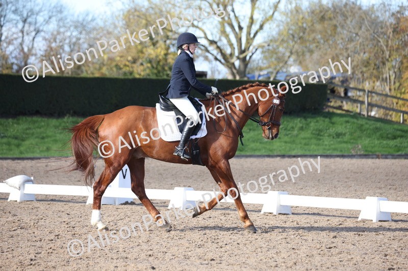 20251102-0716 - Class 4 - Novice 6