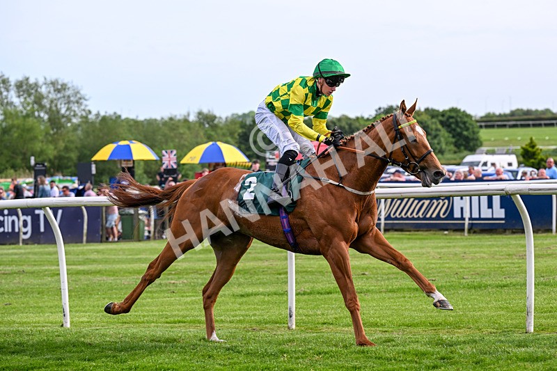 300526-Race 7-Red Rifle-0985 - Race 7 17.17pm Bet At racingtv.com Handicap