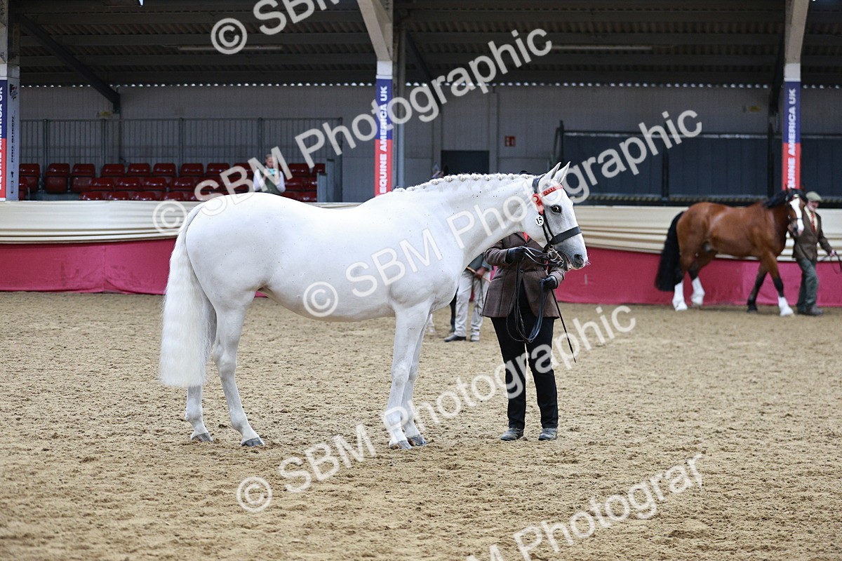 SBM_01240 - Class 3A - Area IH Pre-Vet