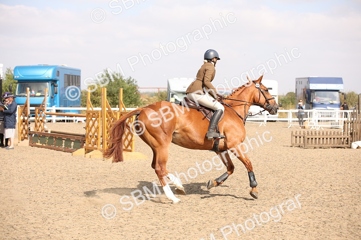 SBM_15019 - Class 408a - Working Veteran 70cm (15-19