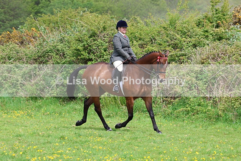 3E7A1694 - Class 9: Riding Club Horse/Pony