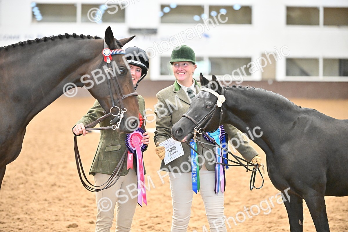 SBM_000753 - Class 14 - SSADL In Hand Championships