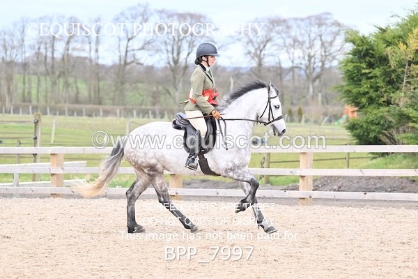 BPP_7997 - SUPREME CHAMPIONSHIP
