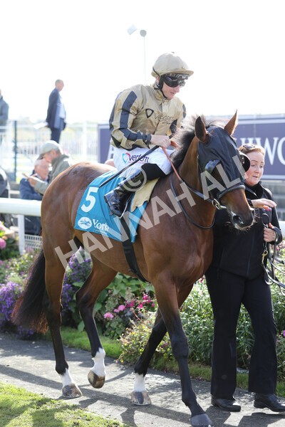 yr08102022r1-5 - Race 1 1.30pm The Coral Play 'Racing-Super-Series' for Free Nursery Handicap