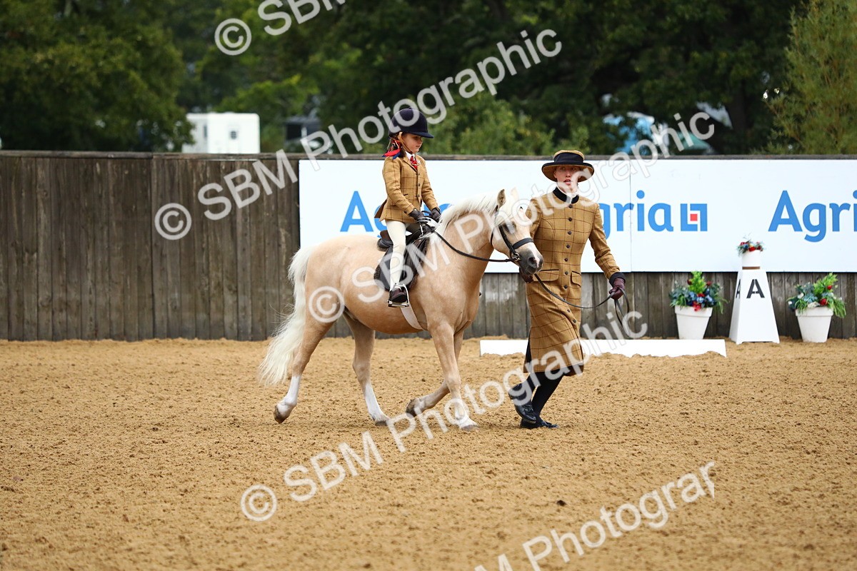 SBM_34563 - D26 - Starters Lead Rein