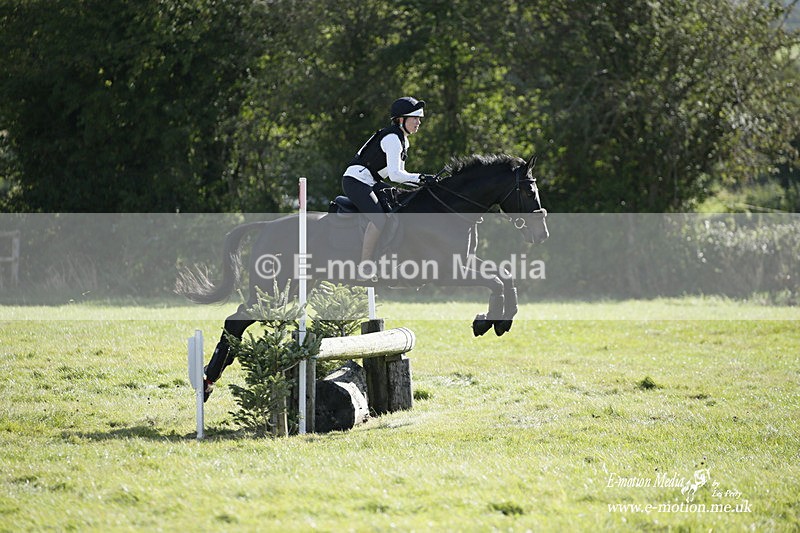  WWHT 031021 1521 - Open Novice (0.80m) 03/10/21