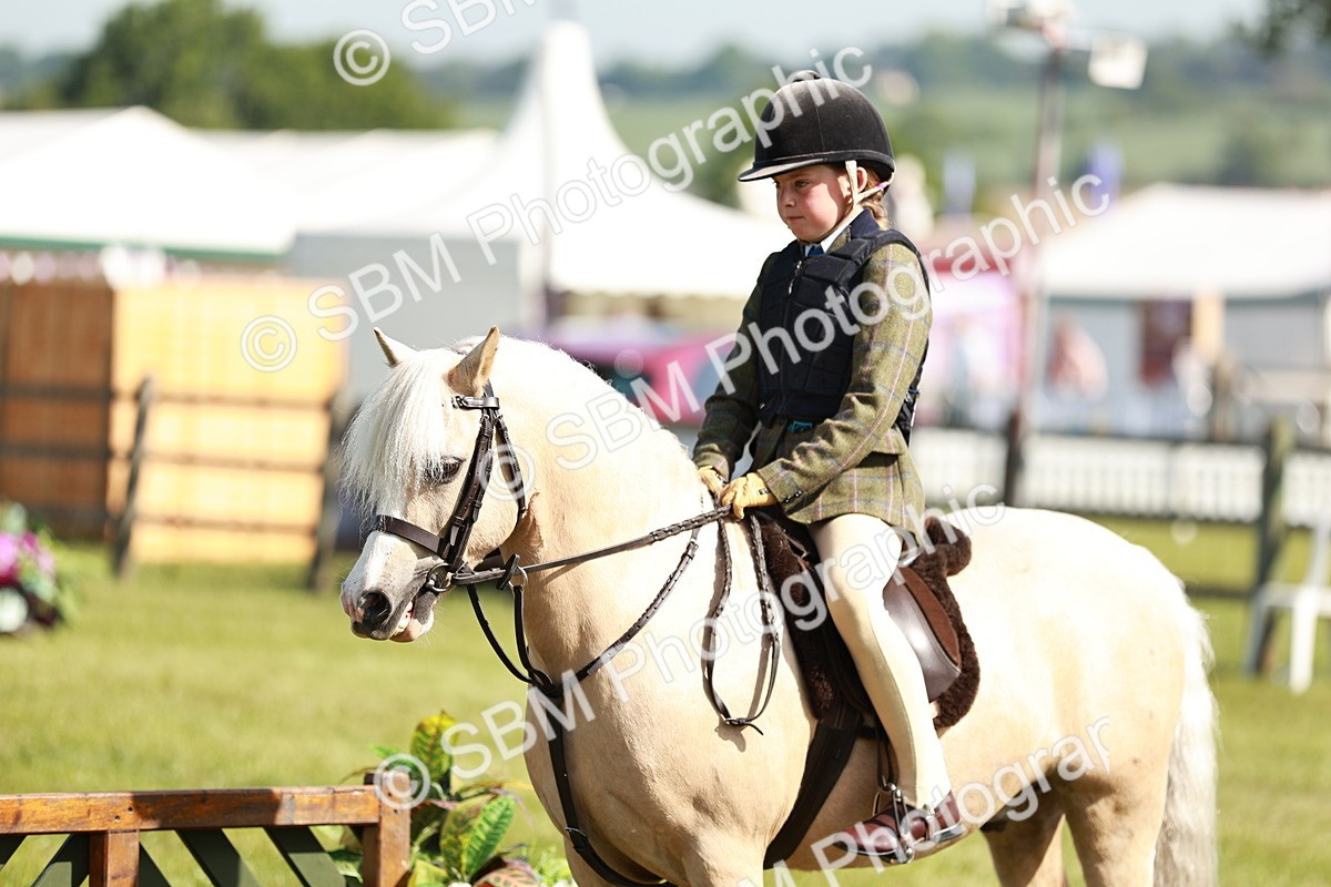 SBM_12667 - Class 106-107 - BSPS LIHS Working Sports Pony