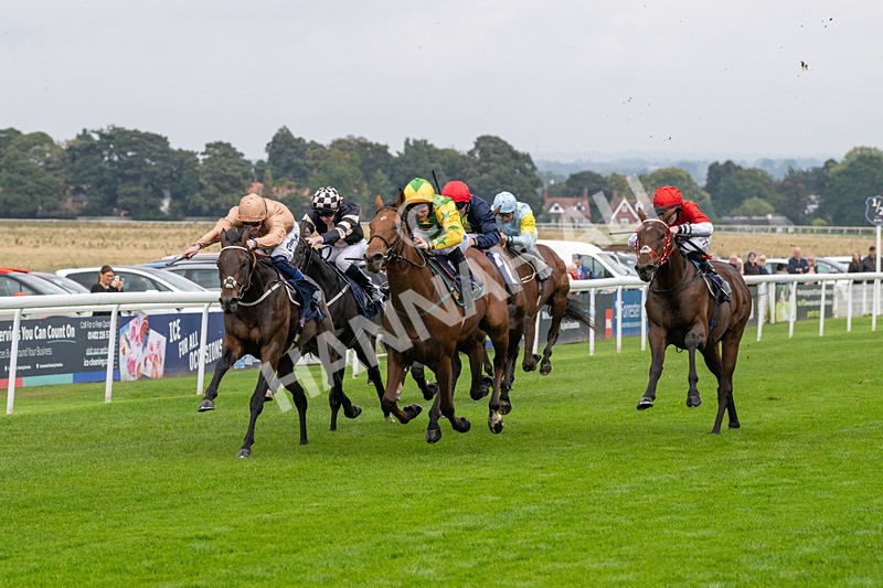 240924-Race 2-The Trickster-5922 - Race 2