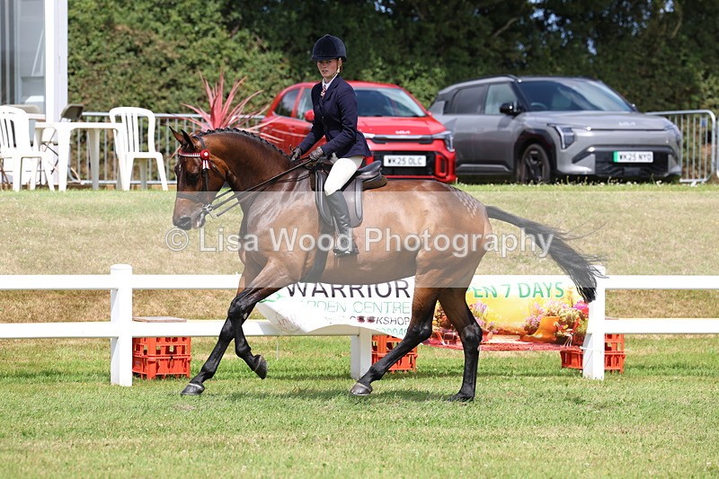 3E7A0583 - Rising Star Ridden Championship