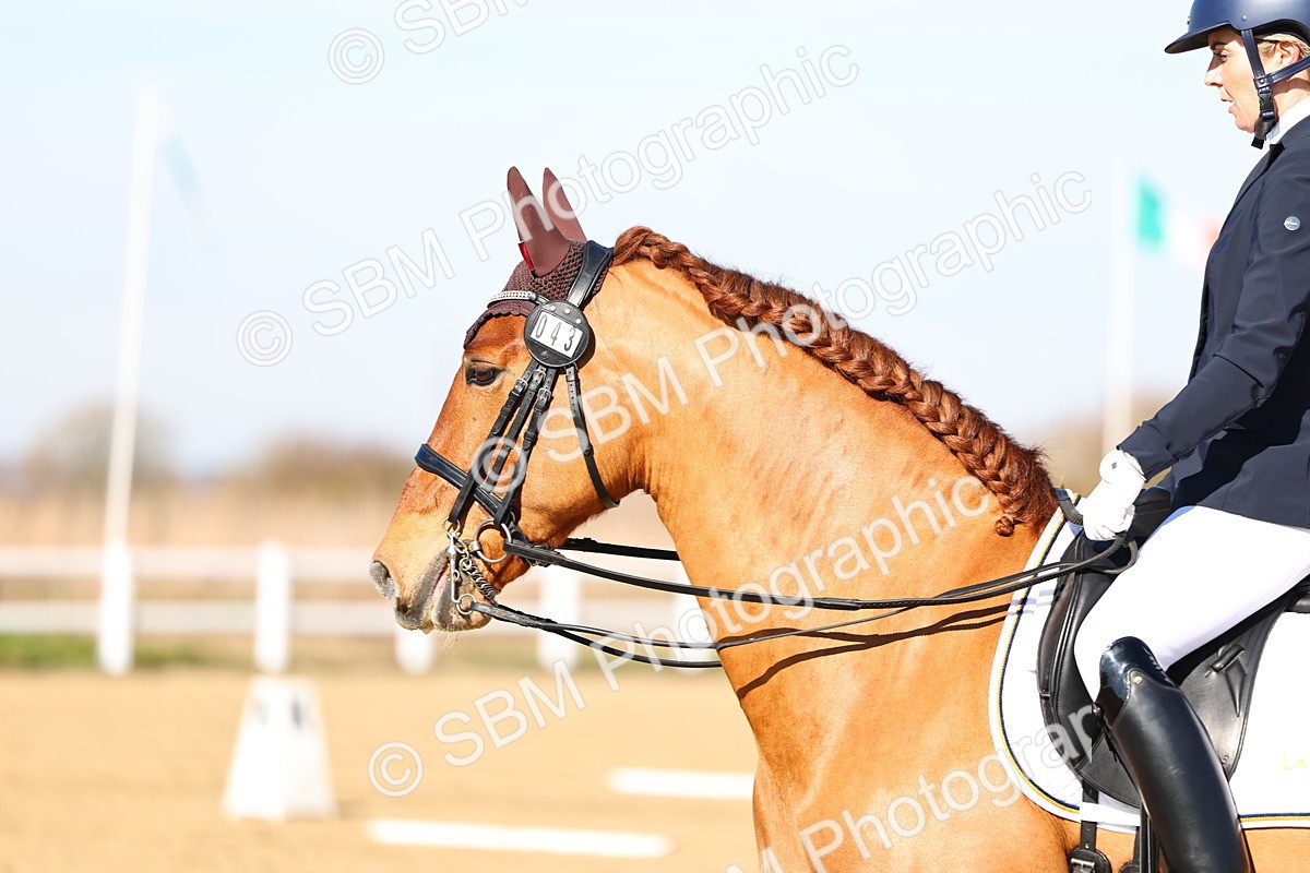 026A8518 - Class 2-6-5-4 - Paso Doble-Sevilla-Golega-Novato