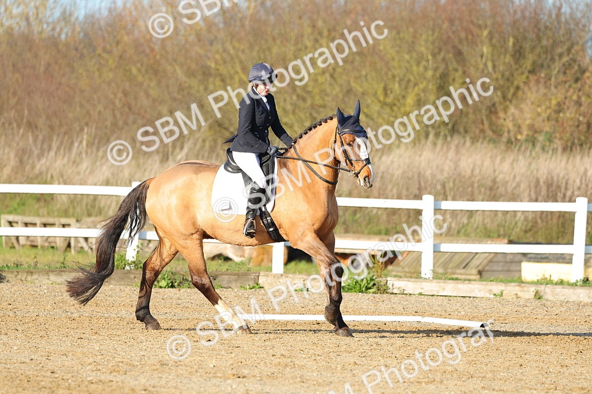 1I0A4864 - Class 5 - Novice 5