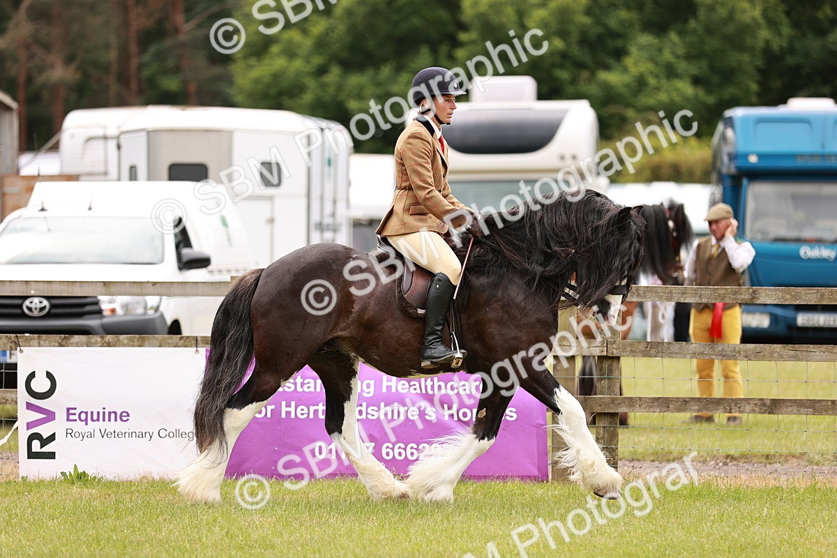 SBM_06194 - Class 39-41 TGCA In Hand and Ridden