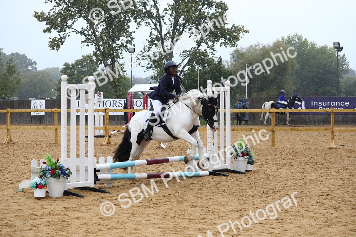 SBM_71449 - J4 - Mini Tour Junior Pony 45cm Championship