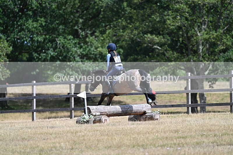 WJ7_0925 - 60cm Time 12:26 to 12:46