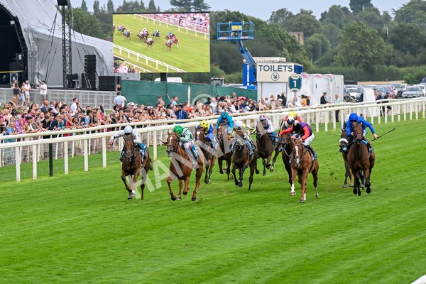 250725-Race 5-Sand Gazelle-0682 - Race 5 7.48pm British EBF Lyric Fillies' Stakes