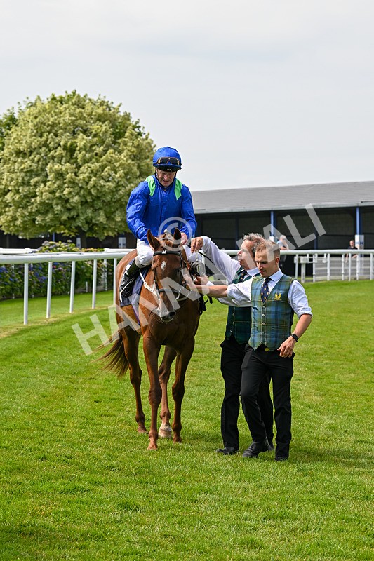 250624-Race 2-Liberty Bird-5170 - Race 2