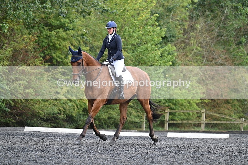 WJ7_6223 - Time 11:38 to 12:03