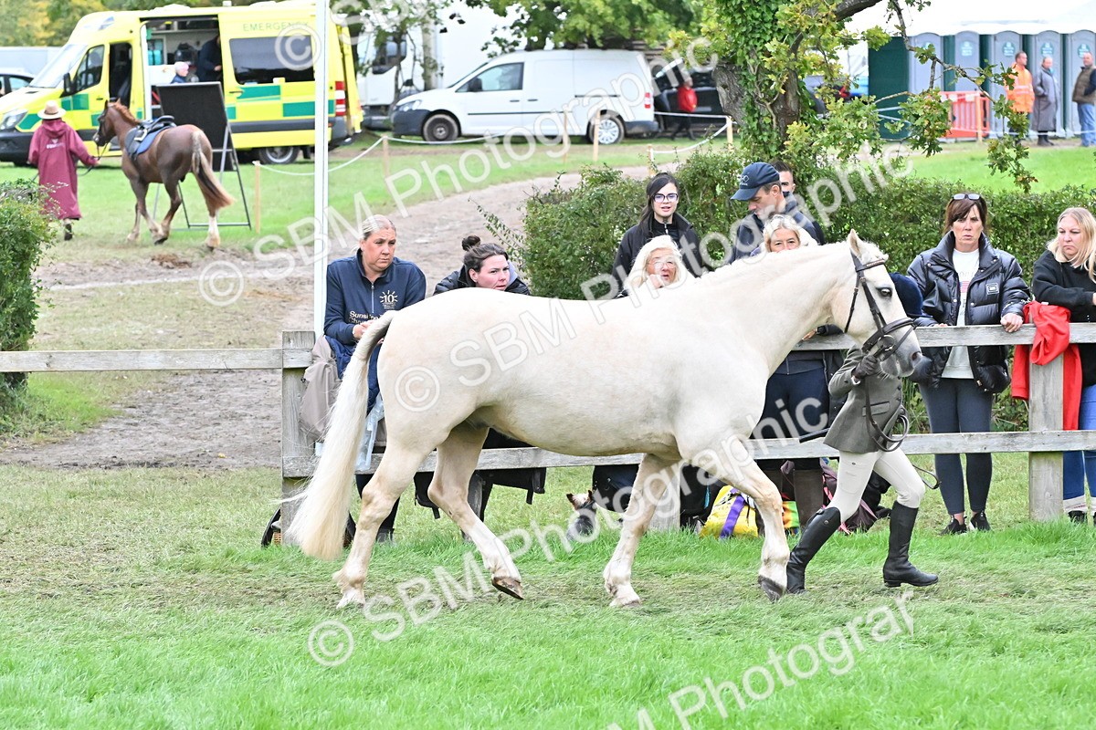 SBM_68572 - S42 - Junior Handler 9-12 Years