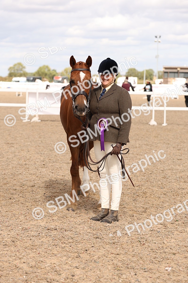SBM_15411 - Class 210- IH Show Horse