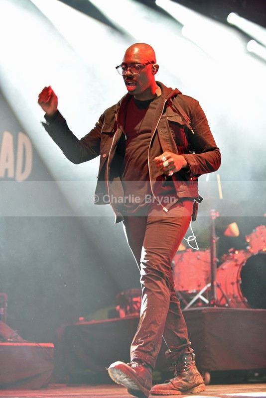 Womad 2015