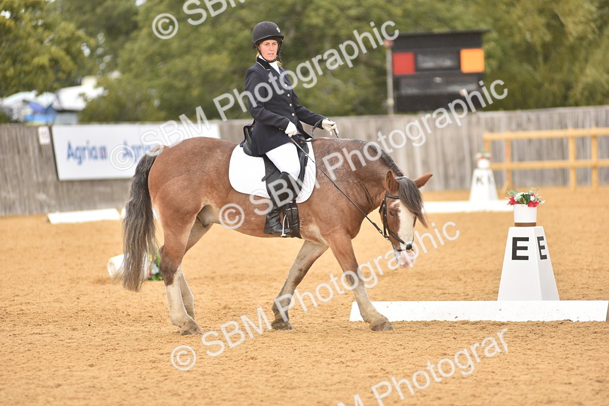 SBM_19876 - D4 - Small Tour Championship Intro 4