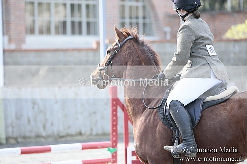 BVRC SJ 170319 215 - Bourne Valley Riding Club Showjumping 17/03/19