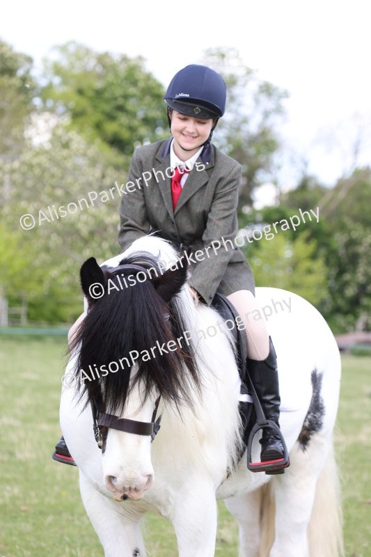 20250427-4090 - Class 34 - Best Riding Horse Over 14.2hh