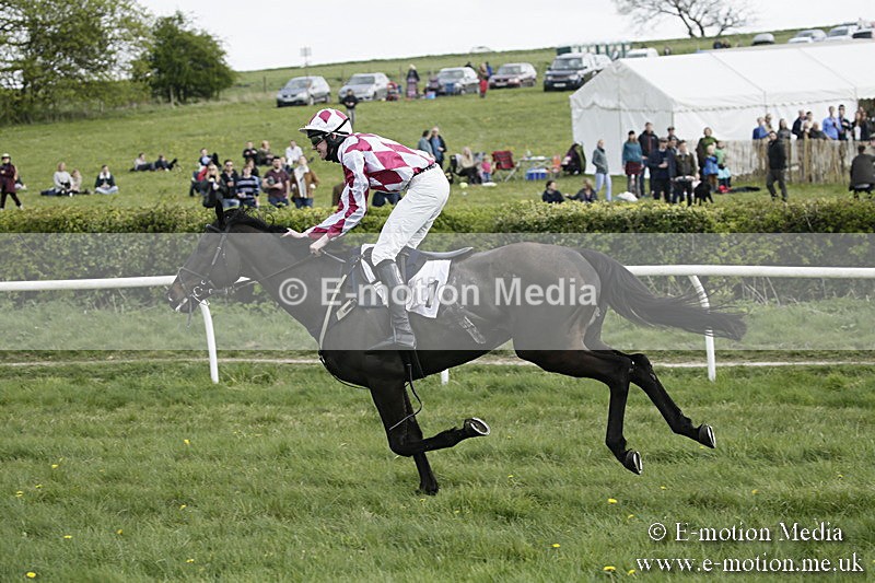 PtP 170417 376 - Old Berks Point-to-Point Lockinge 17/04/17
