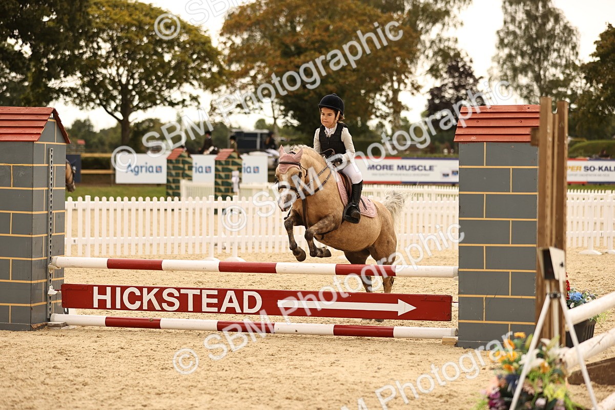 SBM_72699 - J14 - Junior Pony 65cm Championship