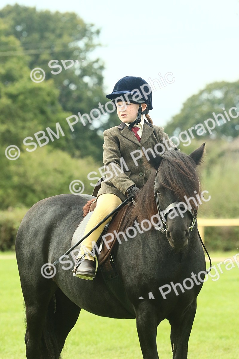 SBM_70001 - S59 - Mountain & Moorland Ridden Small Breeds