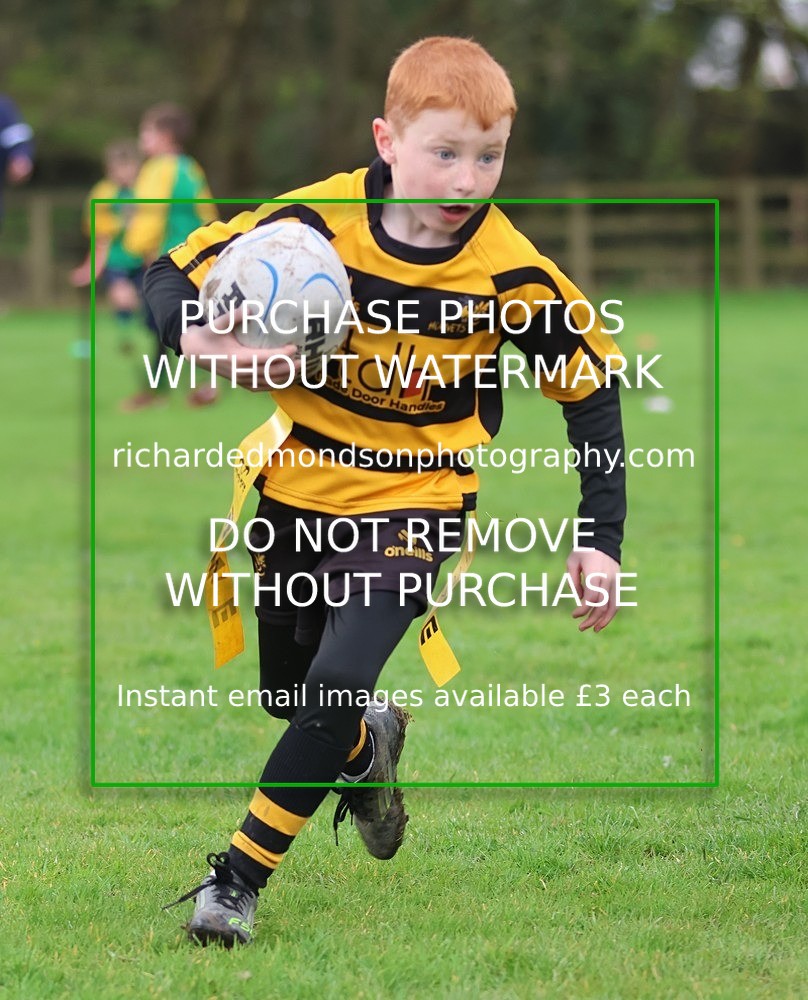 533A5041 - Kendal Rugby Under 7's (12/4/26)