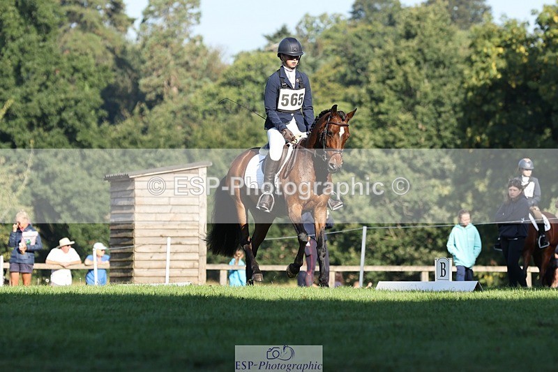 250823A-090000-25826 - Arena D