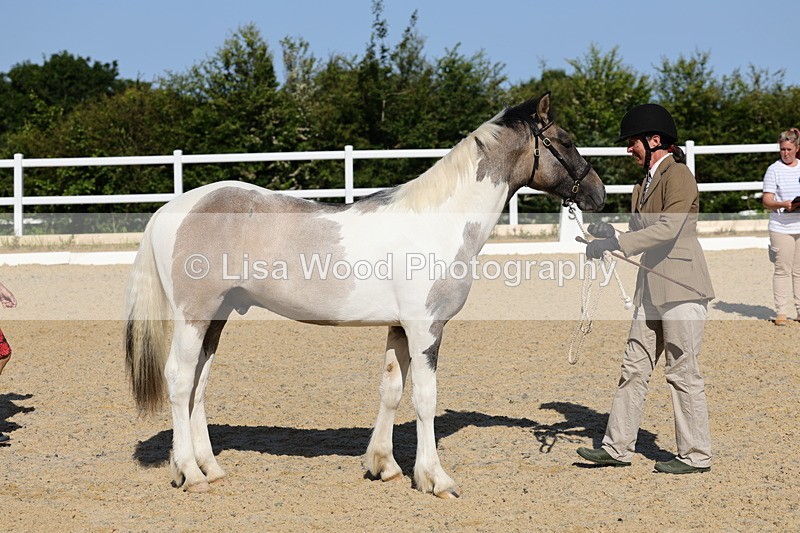 1X9A0668 - Class 3: Youngstock 1, 2, 3 year old not to exceed 153cm