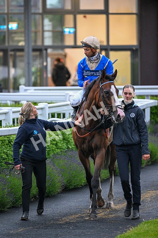 110626-Race 6-Uppercase-5485 - Race 6 20.59pm Racing Again 22nd June Handicap
