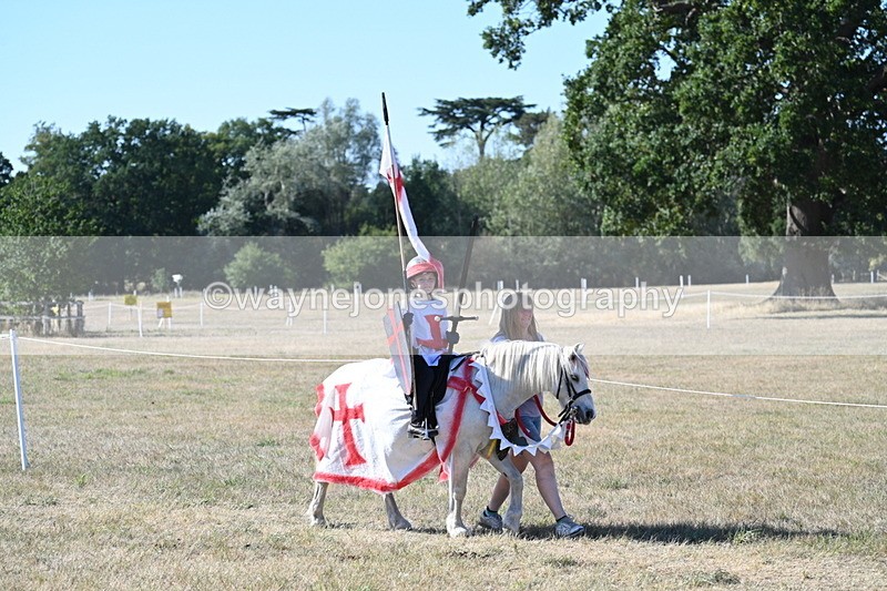 WJ7_2522 - Class 45 Fancy Dress (My Fav)
