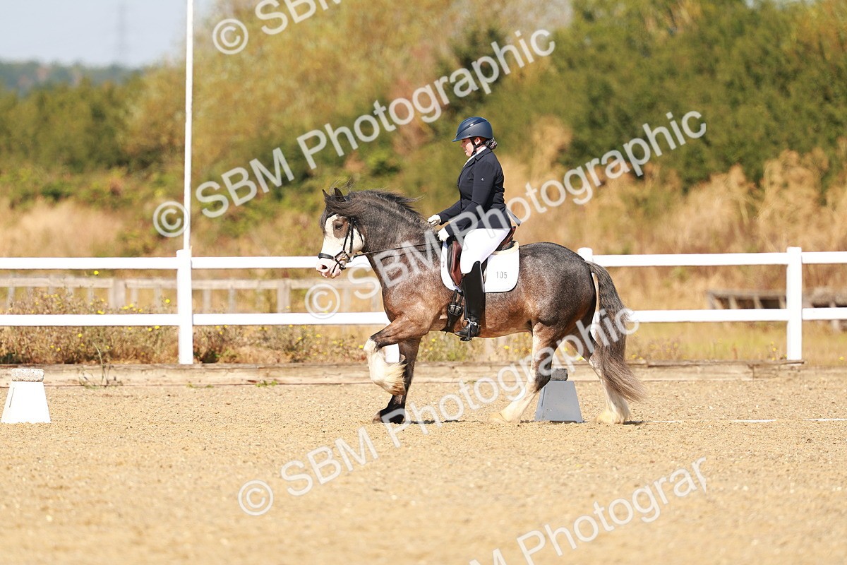 SBM_017798 - Class 9 - N5 Bronze 10.33.11.36