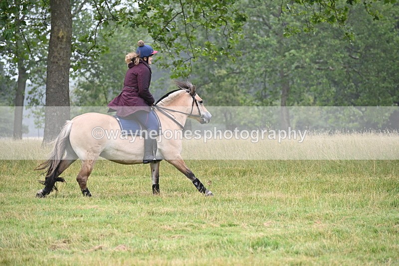 WJ6_0757 - Time at Kitchen Jump 11:34 to 12:28