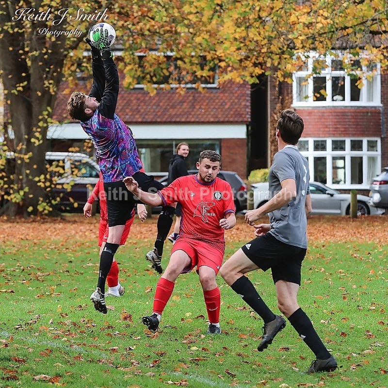 9KJS0079 - AFC spinney