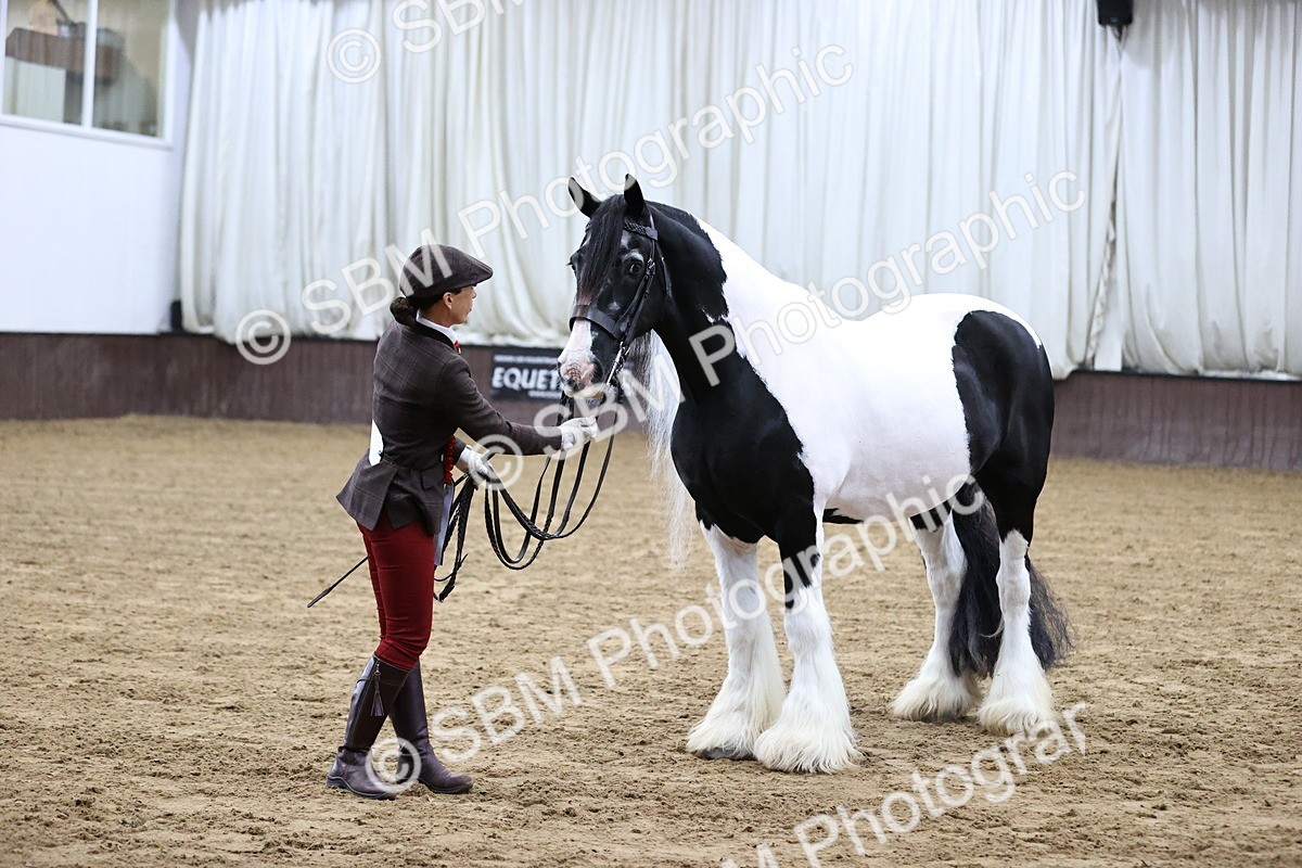 SBM_5683 - Class 40 - RESS In Hand Qualifier