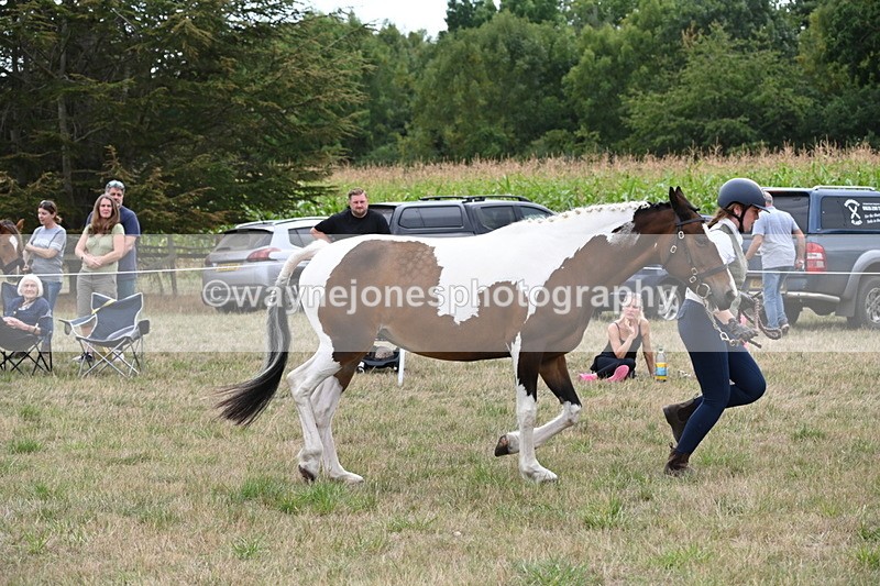 WJ6_5617 - Class 18 In-hand Coloured