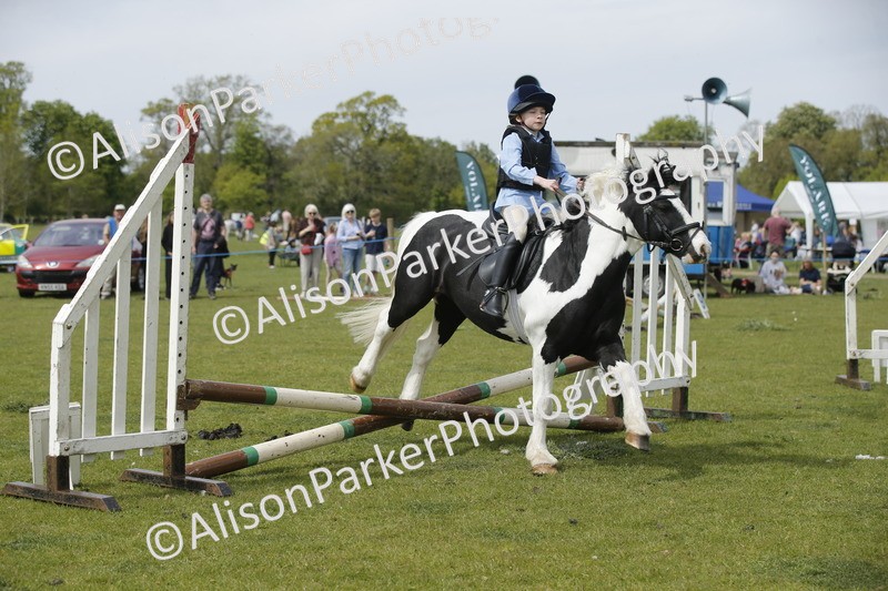 20260426-4672 - Class 5 - Hoof and Foot