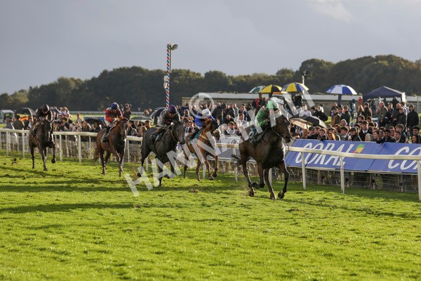 121024-Race 6-Gibside-7356 - Race 6 4.30pm Coral We're Here For It Stayers Handicap